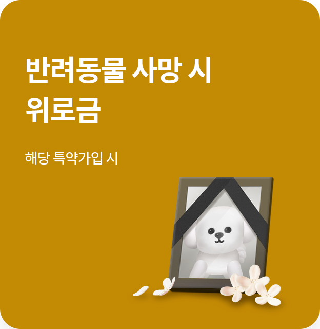 반려동물 사망 시 위로금
