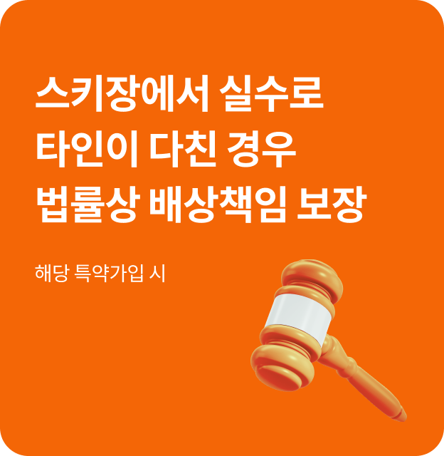 스키장에서 실수로 타인이 다친 경우 법률상 배상책임 보장