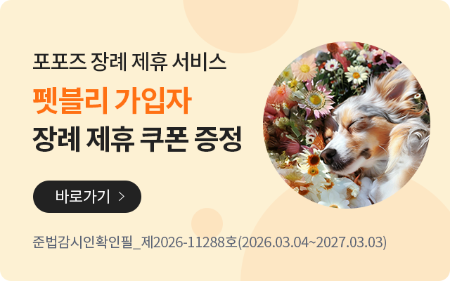 [포포즈 장례 제휴 서비스] 펫블리 가입자 장례 제휴 쿠폰 증정. 바로가기 / 준법감시인확인필_제2026-11288호(2026.03.04~2027.03.03)